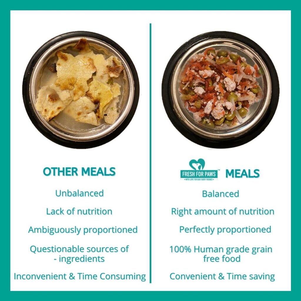 Why Choose fresh for paws