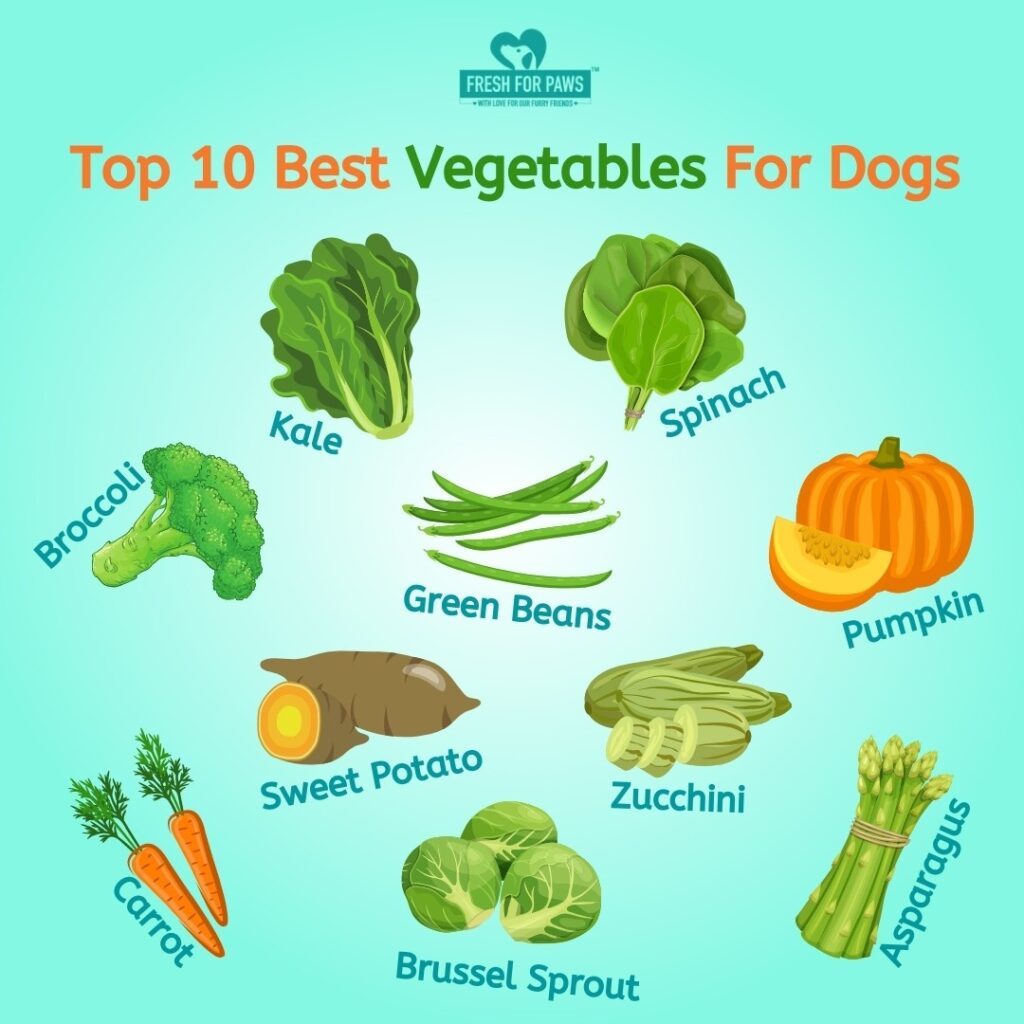 Top 10 best Vegetables for dogs